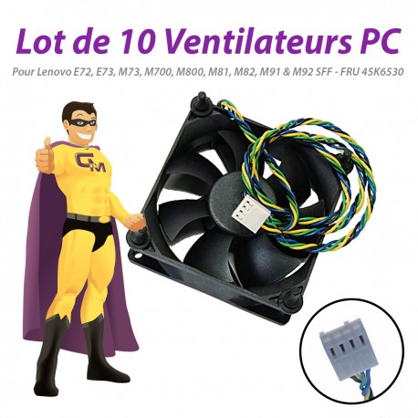 Lot x10 Ventilateurs PC Lenovo E72 E73 M73 M700 M800 M81 M82 M91 M92 SFF 45K6530